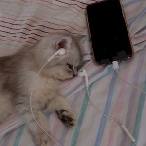 Meet your Posher, Jay